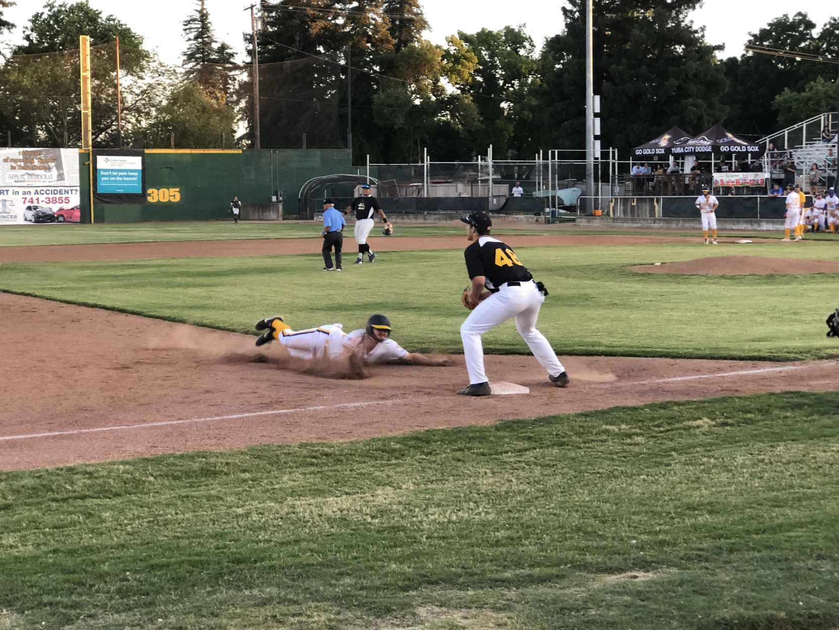 Gold Sox CP.jpg
